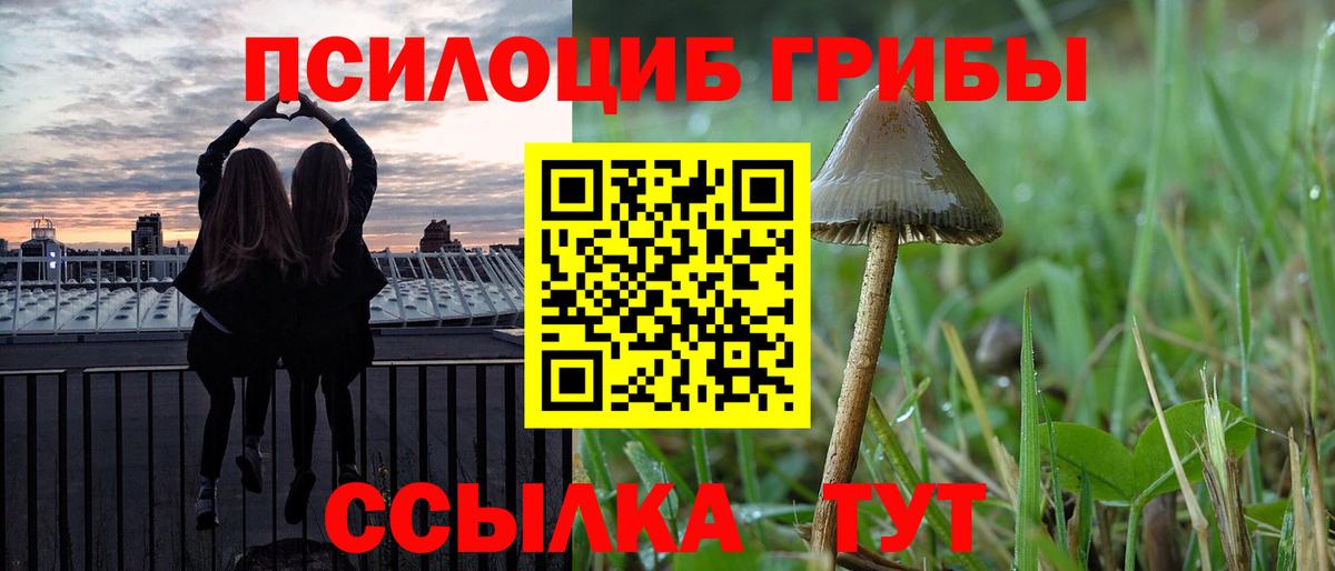 купить   Вход с VPN  Боровичи  Псилоцибиновые грибы мицелий 